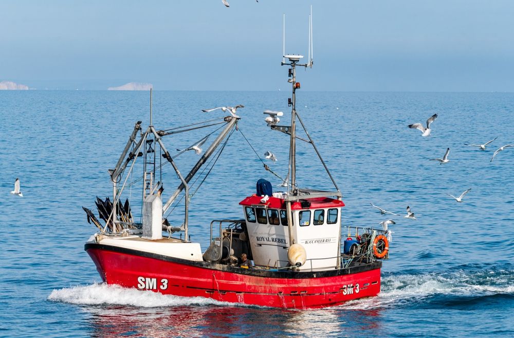 Fiskefartøy: Ryggraden i norsk kystnæring